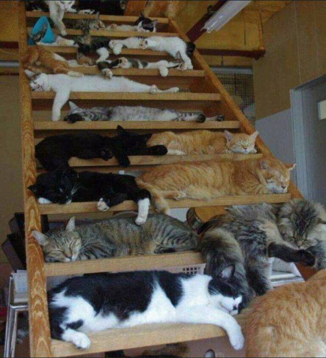 daily picdump 102 pics 29.html - 102 HD Photos | Premium Gallery 2017