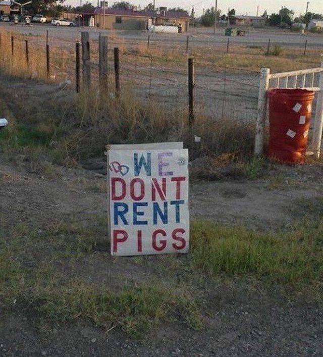 daily picdump 102 pics 29.html - 102 HD Photos | Premium Gallery 2017