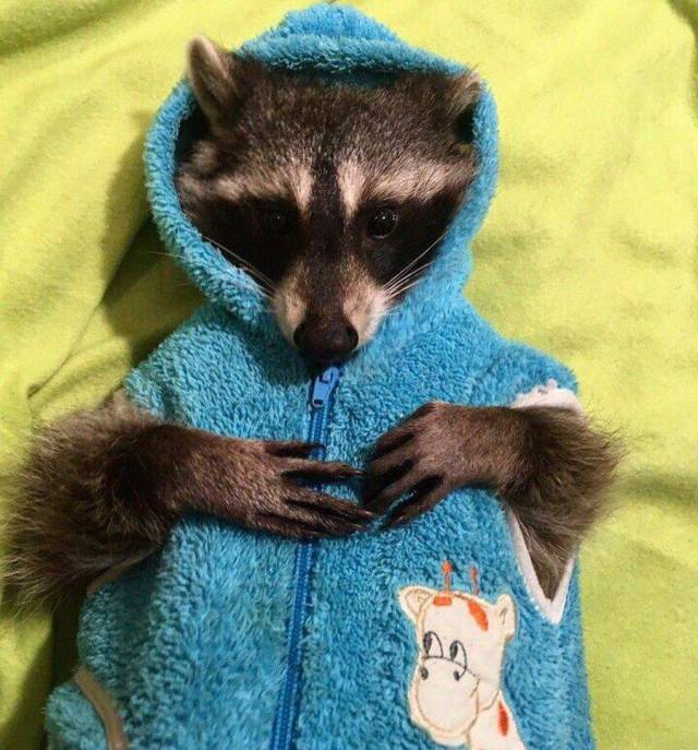 daily picdump 102 pics 29.html - 102 HD Photos | Premium Gallery 2017