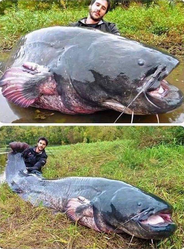 daily picdump 102 pics 29.html - 102 HD Photos | Premium Gallery 2017