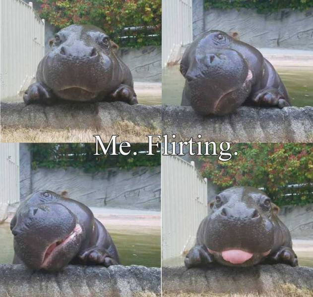 daily picdump 102 pics 29.html - 102 HD Photos | Premium Gallery 2017