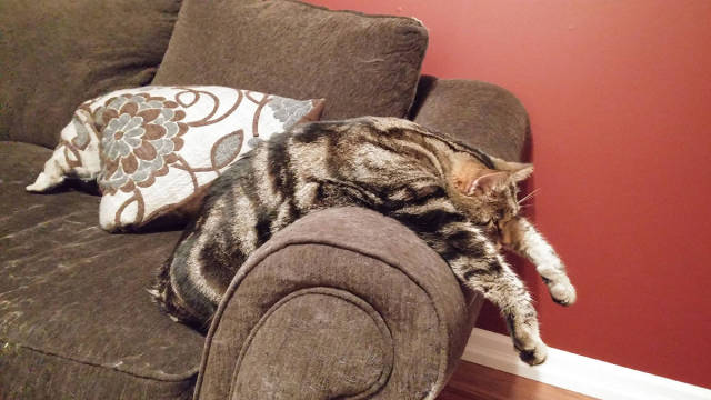 morning picdump 50 pics 11.html - 50 HD Photos | Premium Gallery 2017