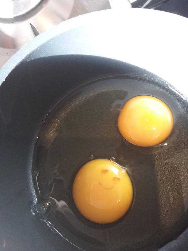 Daily Picdump [WEEKEND EDITION]