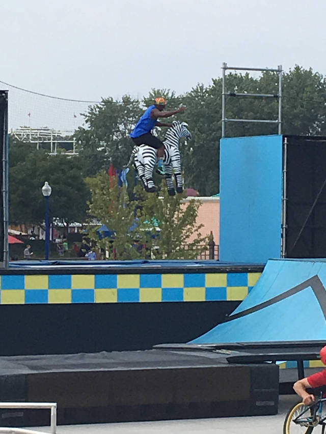 daily picdump weekend edition 55 pics 21.html - 55 HD Photos | Premium Gallery 2017