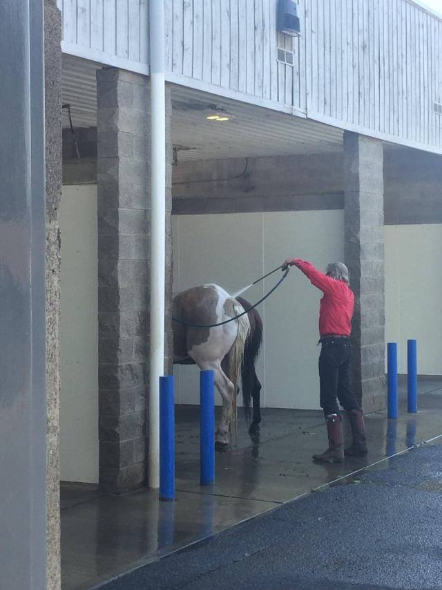 daily picdump weekend edition 55 pics 21.html - 55 HD Photos | Premium Gallery 2017