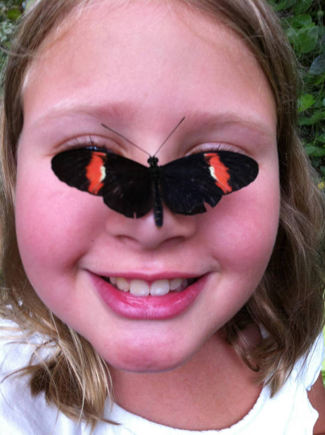 daily picdump weekend edition 55 pics 21.html - 55 HD Photos | Premium Gallery 2017