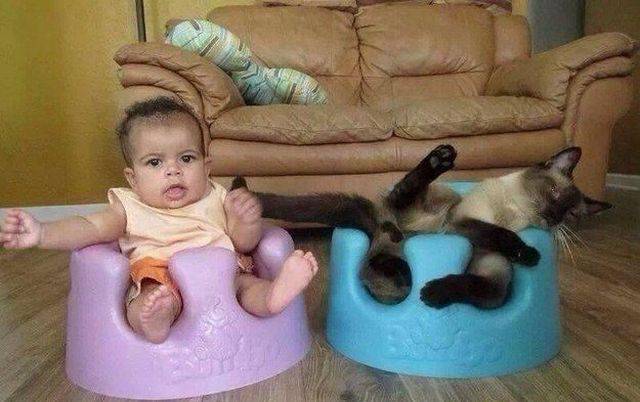 daily picdump 103 pics 22.html - 103 HD Photos | Premium Gallery 2017