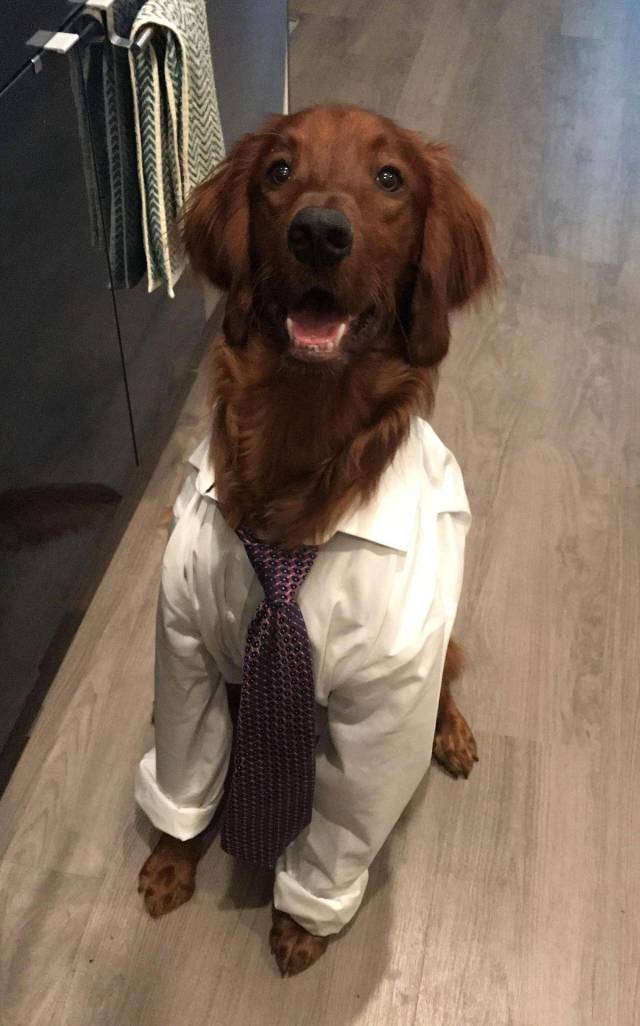 daily picdump 103 pics 22.html - 103 HD Photos | Premium Gallery 2017