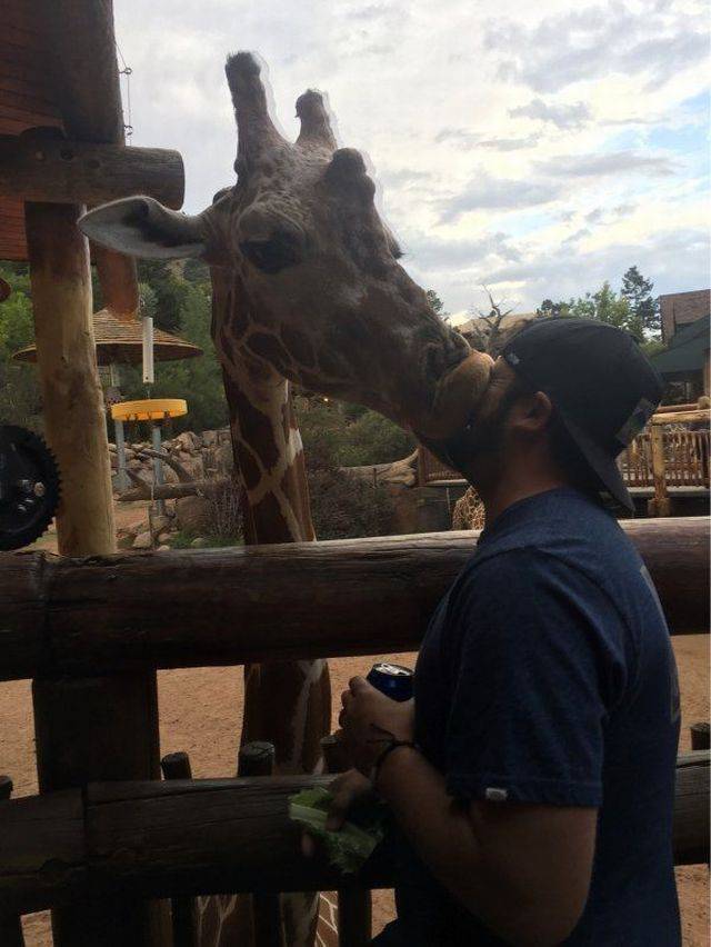 daily picdump 103 pics 22.html - 103 HD Photos | Premium Gallery 2017