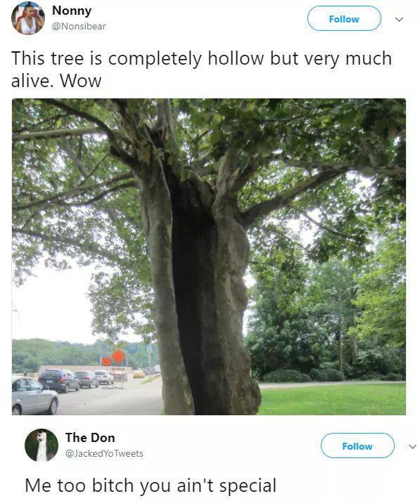 funny picdump 53 pics 22.html - 53 HD Photos | Premium Gallery 2017