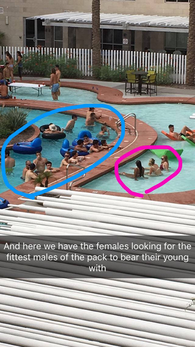 funny picdump 53 pics 22.html - 53 HD Photos | Premium Gallery 2017