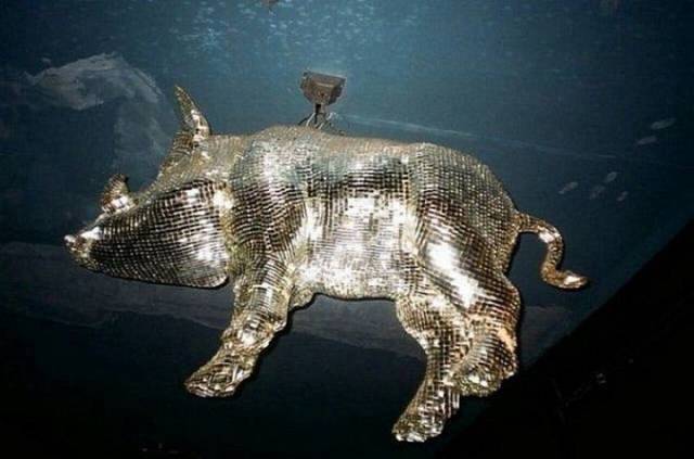 daily picdump 100 pics 7.html - 100 HD Photos | Premium Gallery 2017