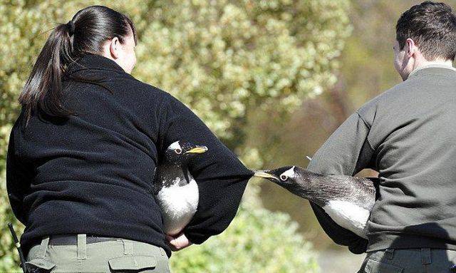 daily picdump 100 pics 7.html - 100 HD Photos | Premium Gallery 2017