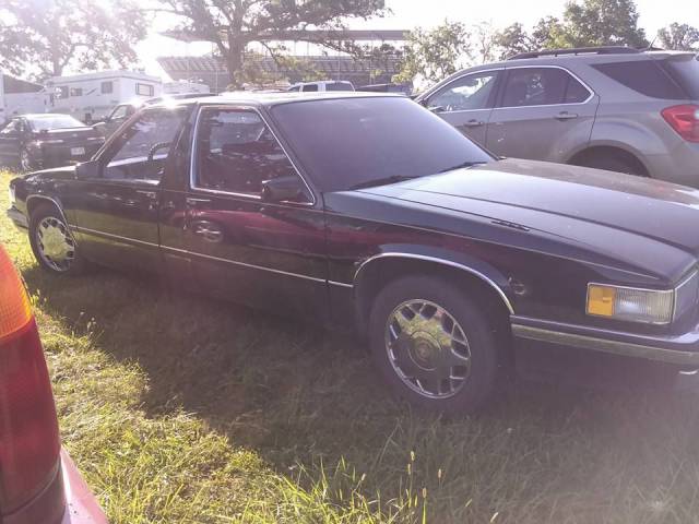 daily picdump 100 pics 7.html - 100 HD Photos | Premium Gallery 2017