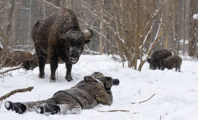 daily picdump 100 pics 7.html - 100 HD Photos | Premium Gallery 2017