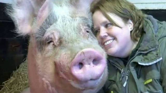 daily picdump 100 pics 7.html - 100 HD Photos | Premium Gallery 2017