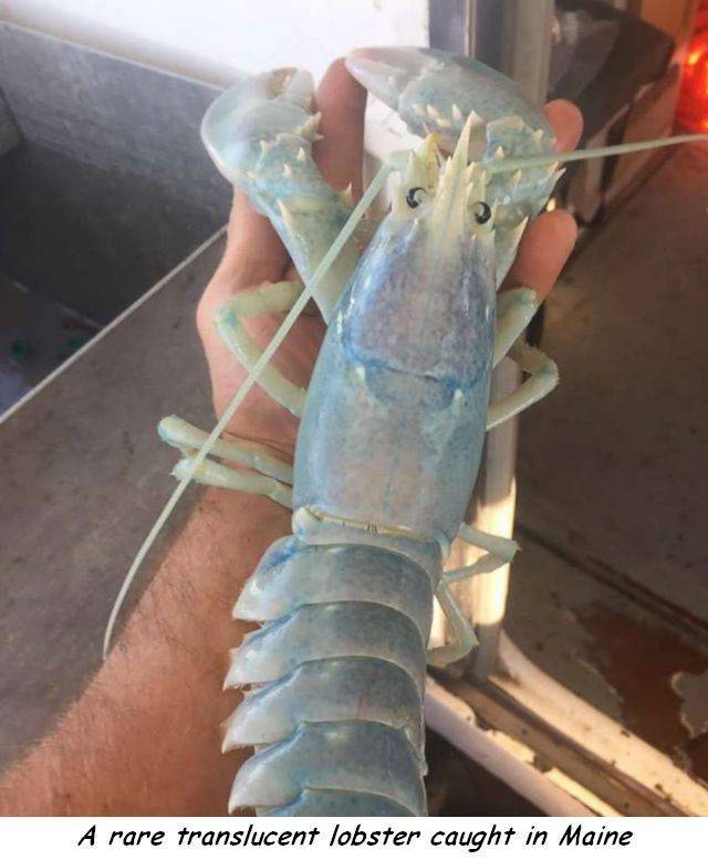 daily picdump 100 pics 7.html - 100 HD Photos | Premium Gallery 2017