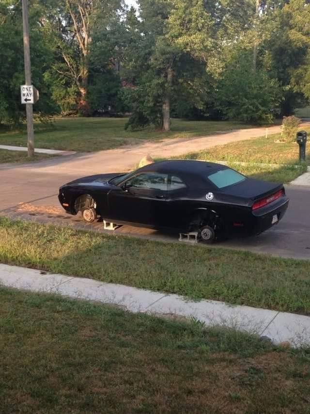 daily picdump 100 pics 7.html - 100 HD Photos | Premium Gallery 2017