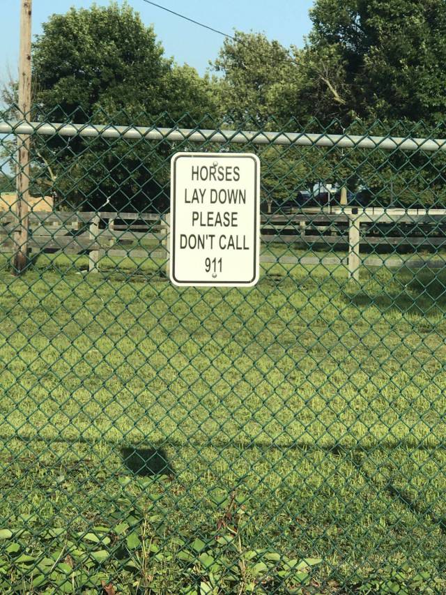 daily picdump 100 pics 7.html - 100 HD Photos | Premium Gallery 2017