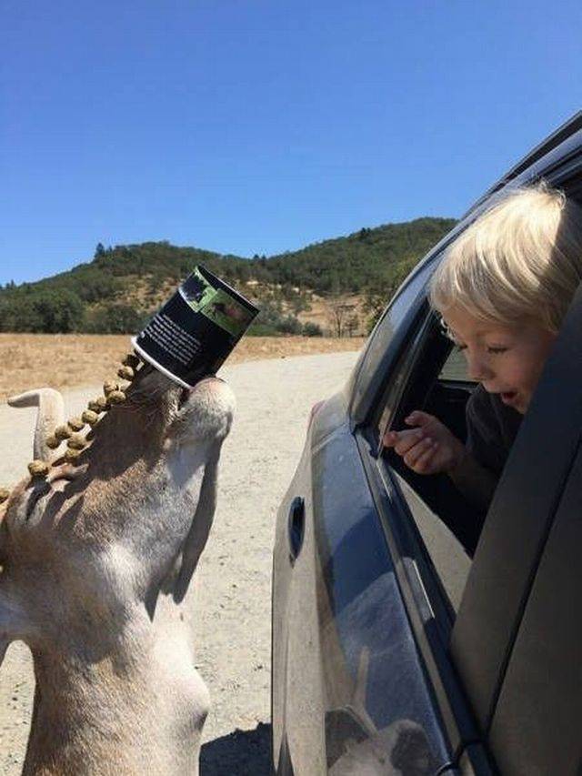 daily picdump 100 pics 7.html - 100 HD Photos | Premium Gallery 2017