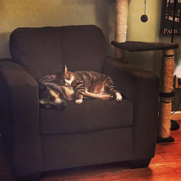 morning picdump 52 pics 1.html - 52 HD Photos | Premium Gallery 2017