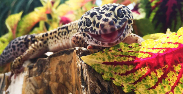 morning picdump 52 pics 1.html - 52 HD Photos | Premium Gallery 2017