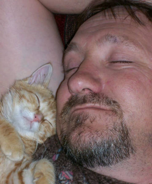 No One Can Hate Cats Forever!