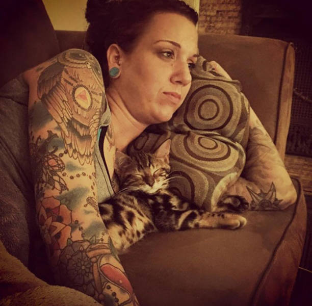 No One Can Hate Cats Forever!