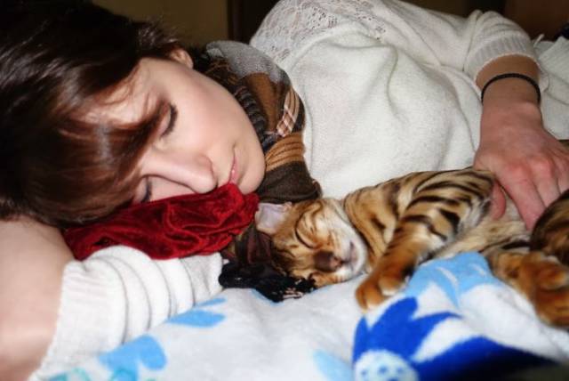 No One Can Hate Cats Forever!