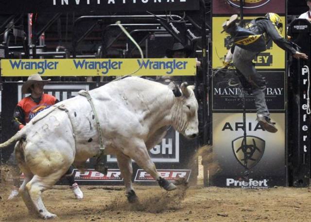 daily picdump 95 pics 19.html - 95 HD Photos | Premium Gallery 2017