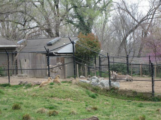 daily picdump 95 pics 19.html - 95 HD Photos | Premium Gallery 2017