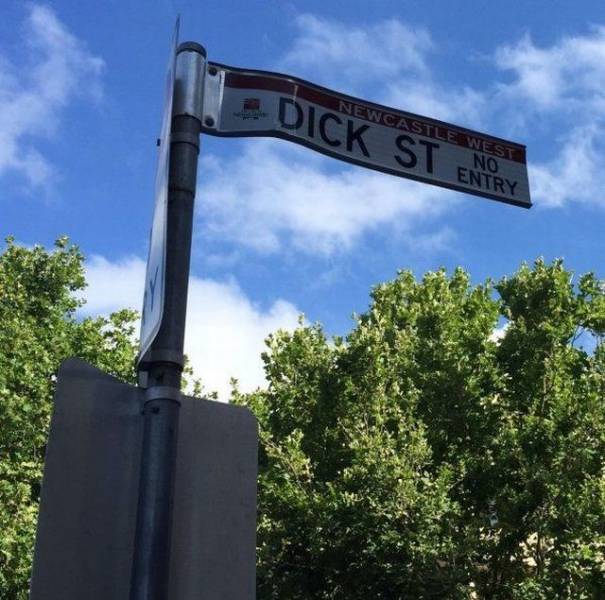 daily picdump 95 pics 19.html - 95 HD Photos | Premium Gallery 2017