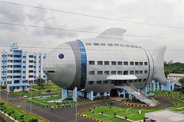 daily picdump 95 pics 19.html - 95 HD Photos | Premium Gallery 2017