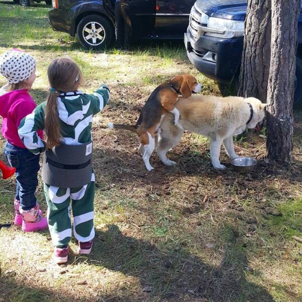 daily picdump 95 pics 19.html - 95 HD Photos | Premium Gallery 2017