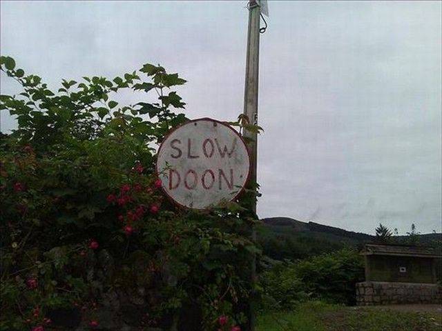 daily picdump 95 pics 19.html - 95 HD Photos | Premium Gallery 2017