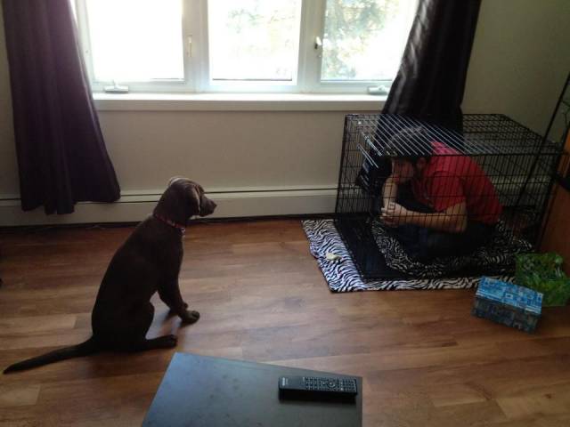 daily picdump 95 pics 19.html - 95 HD Photos | Premium Gallery 2017