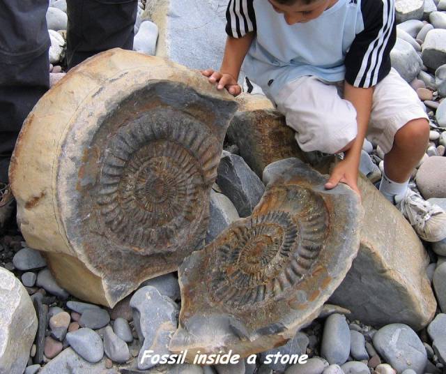 daily picdump 95 pics 19.html - 95 HD Photos | Premium Gallery 2017