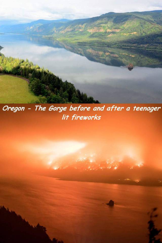 daily picdump 95 pics 19.html - 95 HD Photos | Premium Gallery 2017