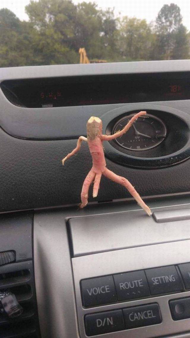 Dirty Humor Is At It Again!