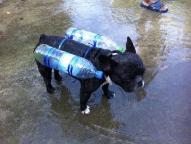 morning picdump 51 pics 7.html - 51 HD Photos | Premium Gallery 2017