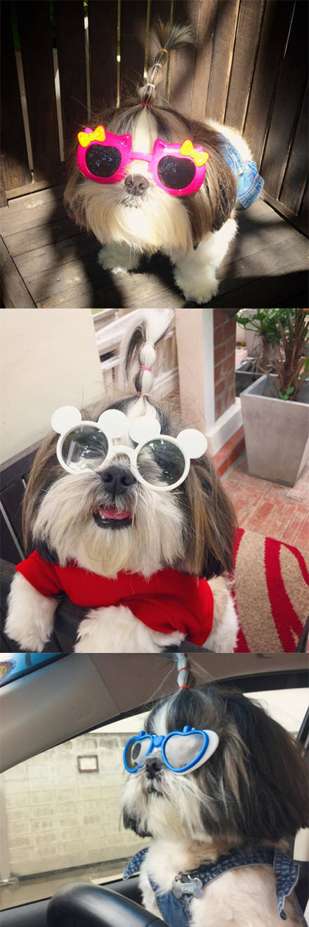 morning picdump 51 pics 7.html - 51 HD Photos | Premium Gallery 2017