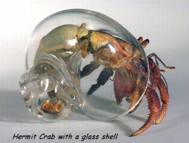 daily picdump 95 pics 6.html - 95 HD Photos | Premium Gallery 2017