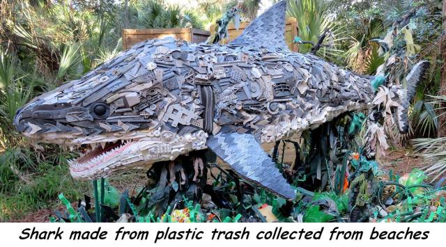 daily picdump 95 pics 6.html - 95 HD Photos | Premium Gallery 2017