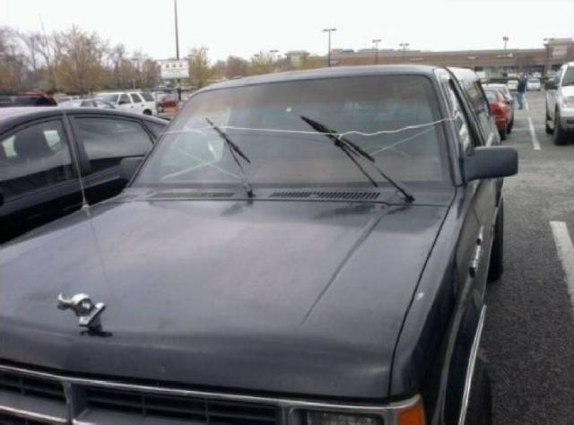 daily picdump 95 pics 6.html - 95 HD Photos | Premium Gallery 2017