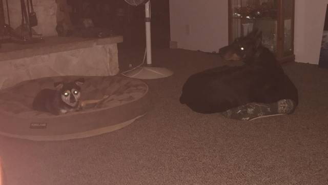 daily picdump 95 pics 6.html - 95 HD Photos | Premium Gallery 2017