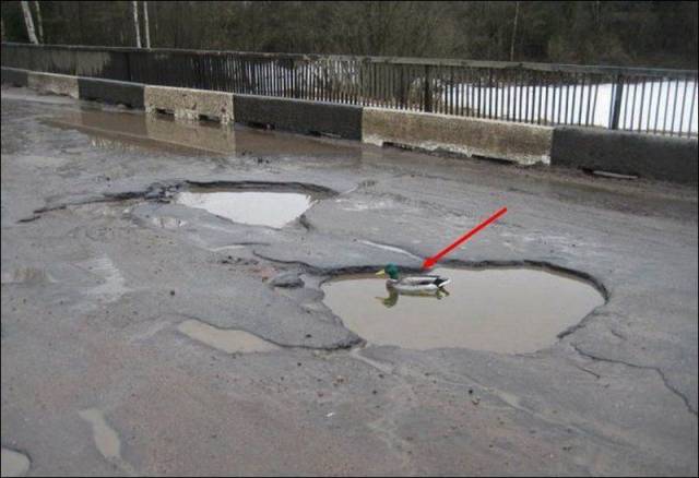 daily picdump 95 pics 6.html - 95 HD Photos | Premium Gallery 2017