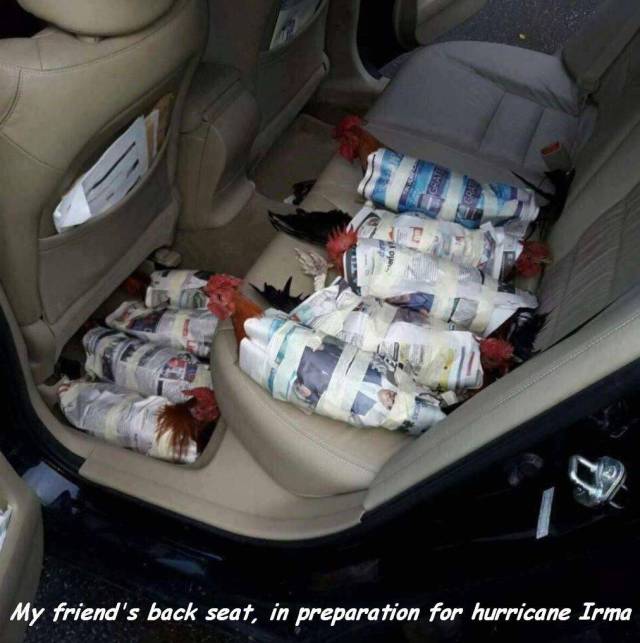 daily picdump 95 pics 6.html - 95 HD Photos | Premium Gallery 2017