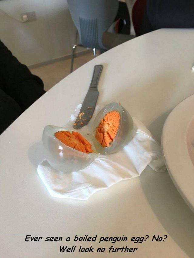 daily picdump 95 pics 6.html - 95 HD Photos | Premium Gallery 2017