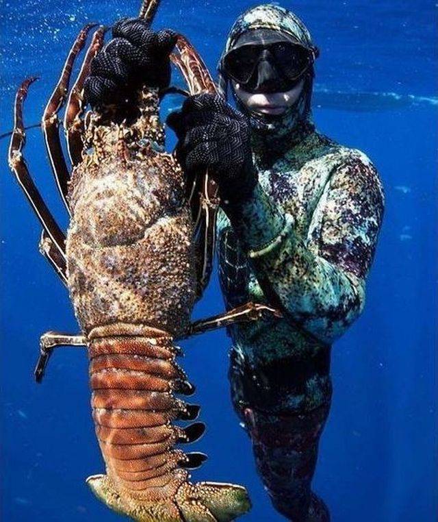 daily picdump 95 pics 6.html - 95 HD Photos | Premium Gallery 2017