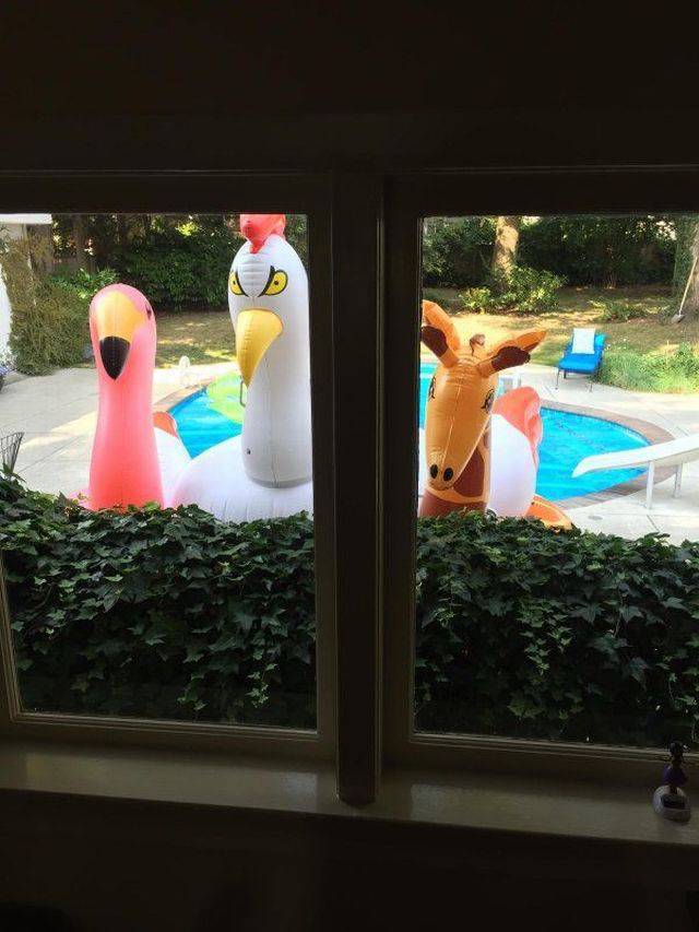 daily picdump 95 pics 6.html - 95 HD Photos | Premium Gallery 2017